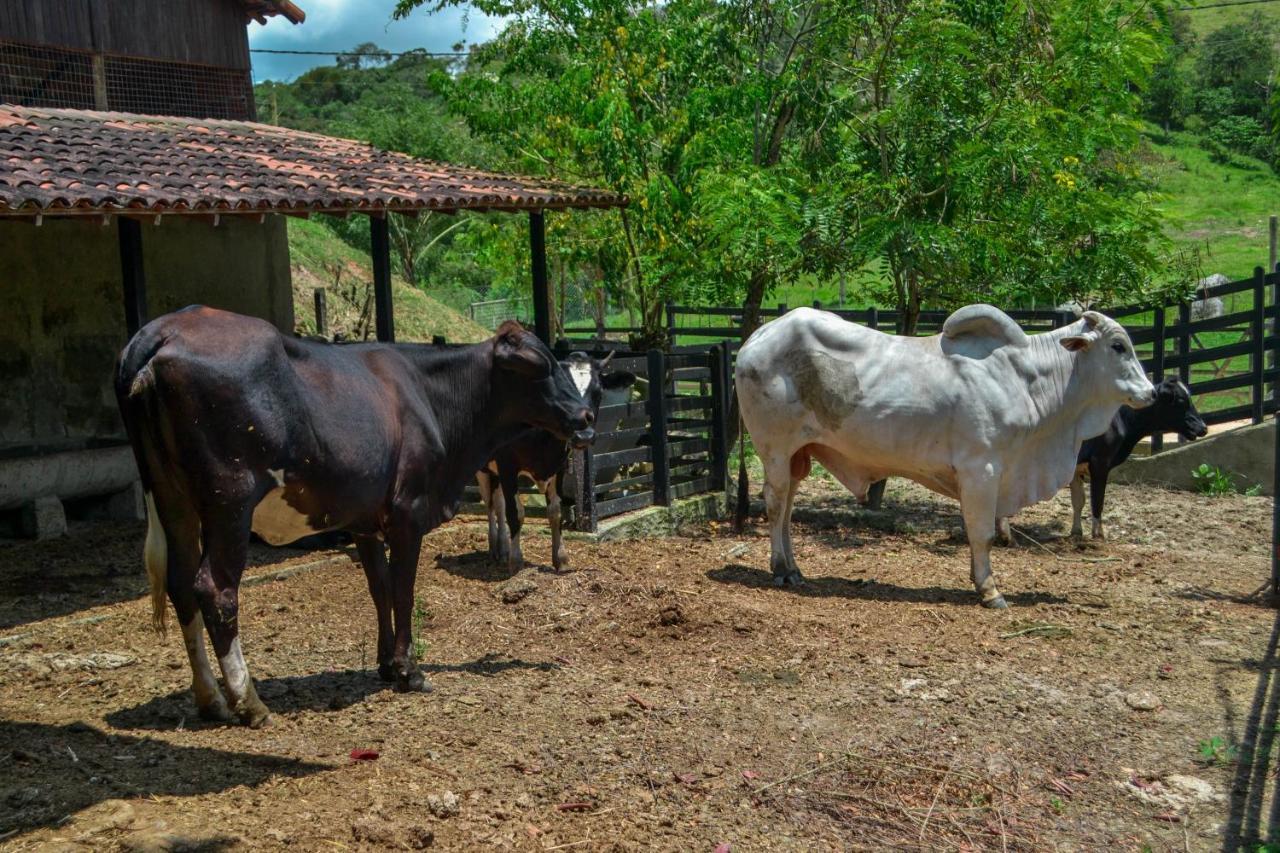 Chacara Maluco Beleza 2 Villa Gravatá Buitenkant foto